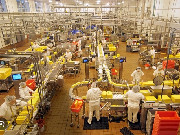 Agro-Alimentaire & Agro-Industrie